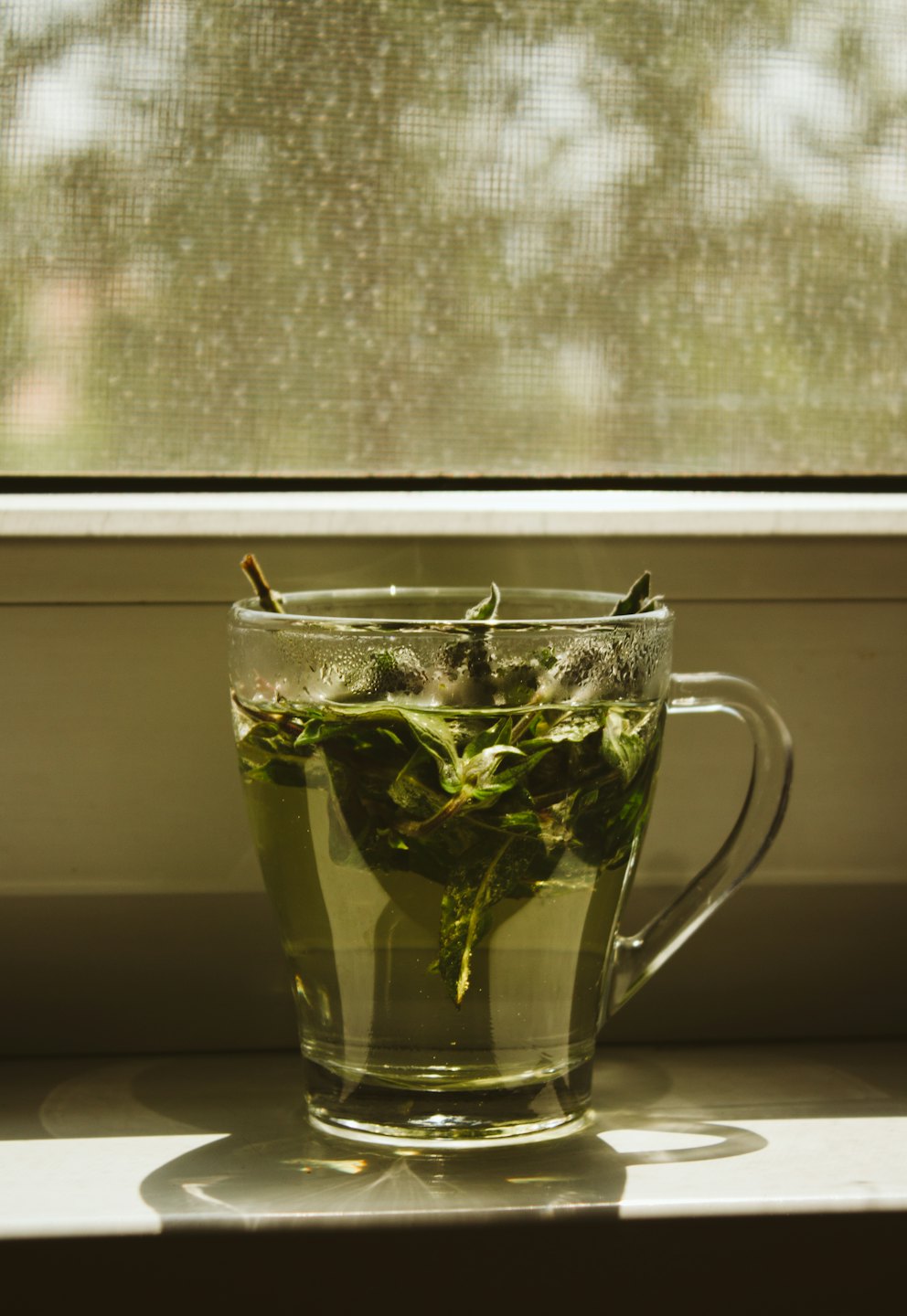 Tazza di tisana fumante su un davanzale.